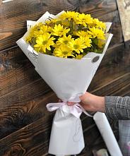 Букет цветов из:  Хризантемы #REPLACE_PRED# Быкогорке