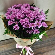 Букет цветов из:  Хризантемы #REPLACE_PRED# Быкогорке