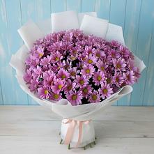 Букет цветов из:  Хризантемы в Быкогорке