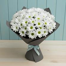 Букет цветов из:  Хризантемы #REPLACE_PRED# Быкогорке