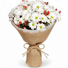 Букет цветов из:  Хризантемы #REPLACE_PRED# Быкогорке