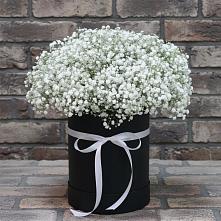Цветочная композиция из Гипсофила в шляпной коробке в Быкогорке