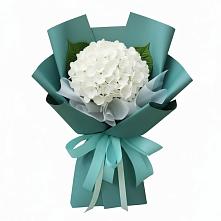 Букет цветов из:  Гортензия #REPLACE_PRED# Быкогорке